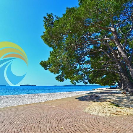 Apartment Mitar 1271 Fažana Dış mekan fotoğraf